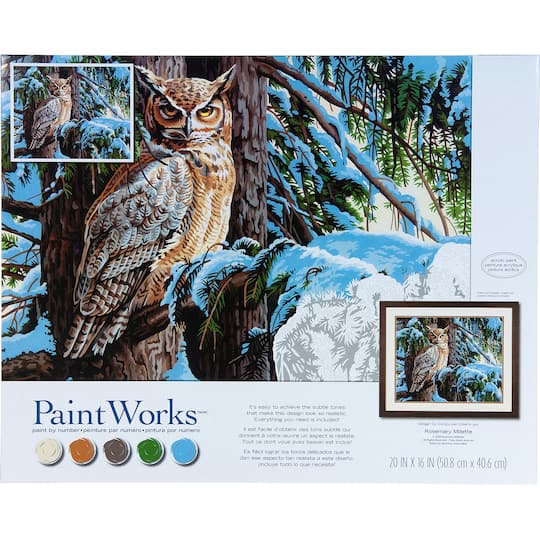 Dimensions&#xAE; PaintWorks&#x2122; Paint-by-Number Kit, Great Horned Owl